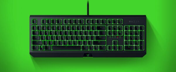 KEYBOARD RAZER BLACKWIDOW ESSENTIAL