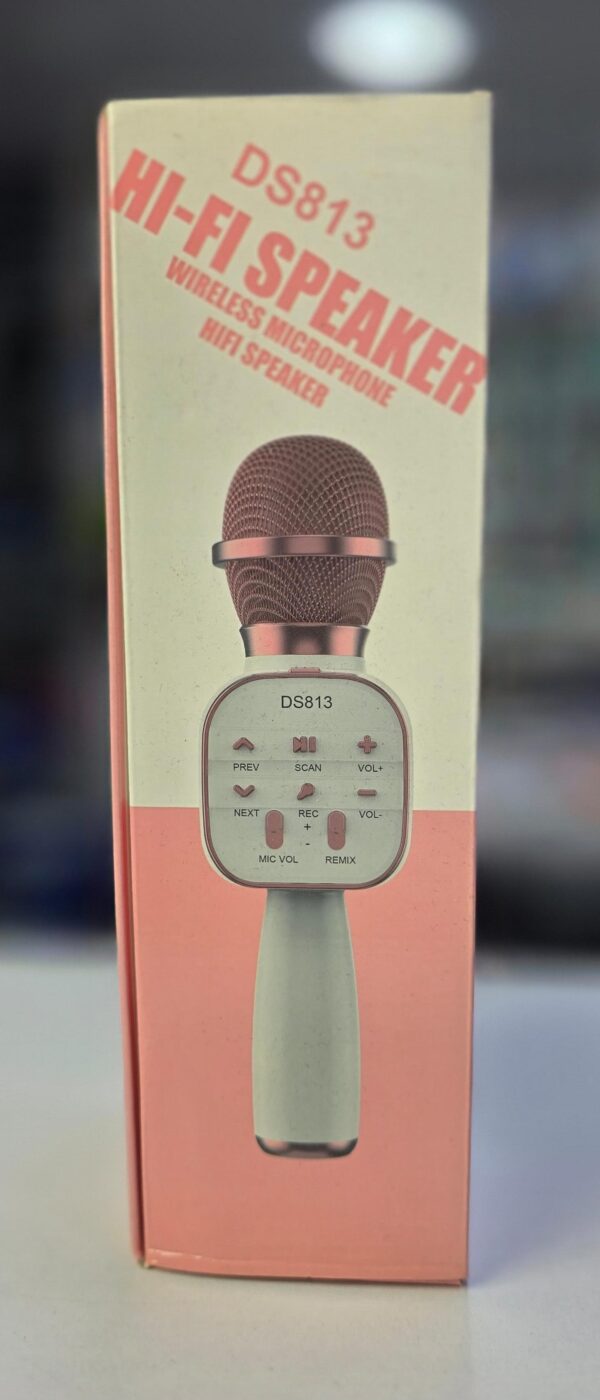 KARAOKE DS813